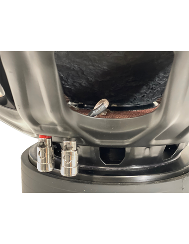 Chess Audio SBB 1244