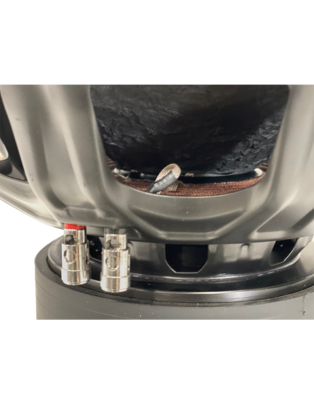 Chess Audio SBB 1244