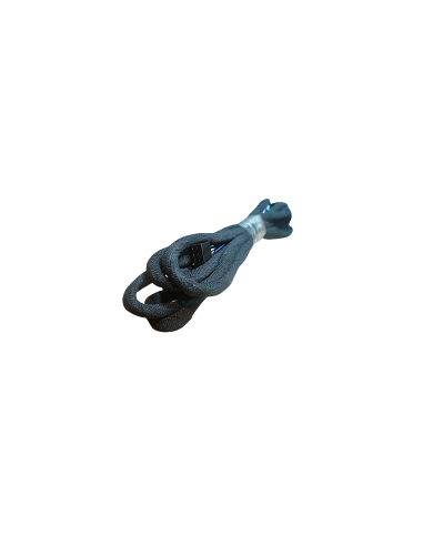 Chess Audio DSP46 CABLE 5