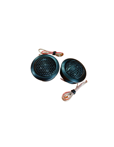 Chess Audio TW01