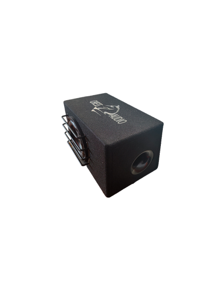 Chess Audio SW84 ACT BOX