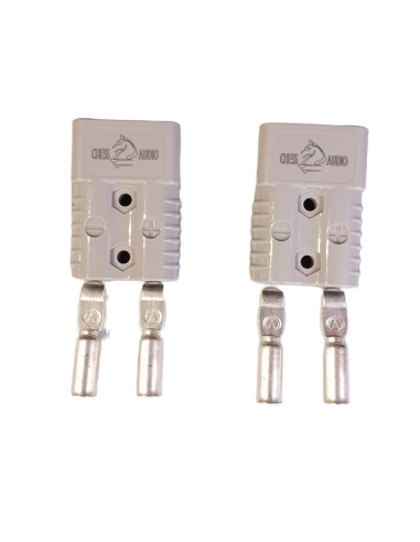 Chess Audio BANP0