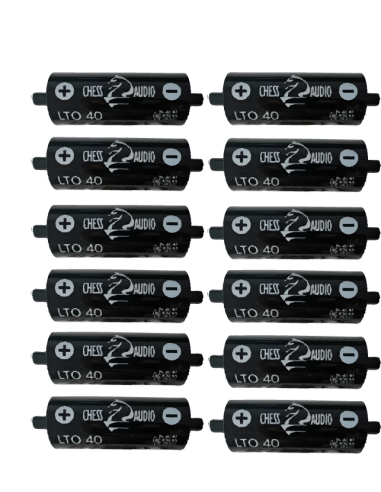 Chess Audio 12 pilas LTO40s