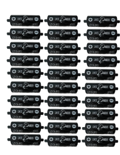 Chess Audio 30 pilas LTO40s